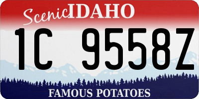 ID license plate 1C9558Z