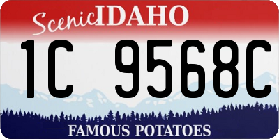 ID license plate 1C9568C