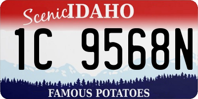 ID license plate 1C9568N