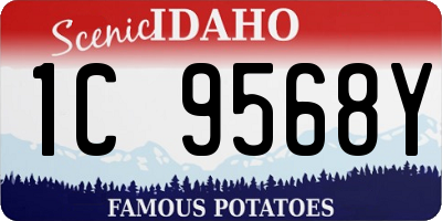 ID license plate 1C9568Y