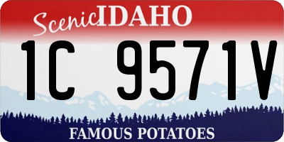ID license plate 1C9571V