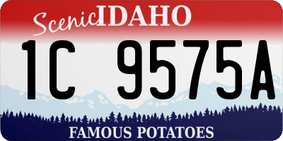 ID license plate 1C9575A