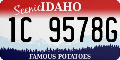 ID license plate 1C9578G