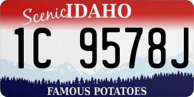 ID license plate 1C9578J