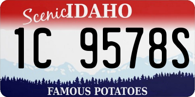 ID license plate 1C9578S