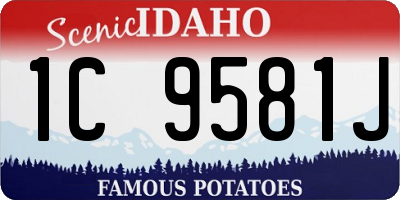 ID license plate 1C9581J