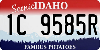 ID license plate 1C9585R