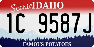 ID license plate 1C9587J