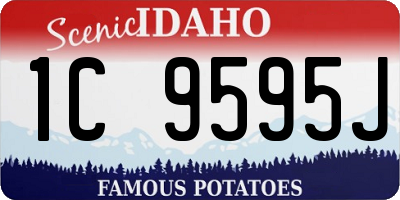 ID license plate 1C9595J