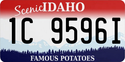 ID license plate 1C9596I