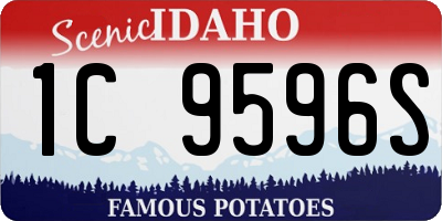 ID license plate 1C9596S