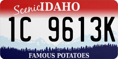 ID license plate 1C9613K