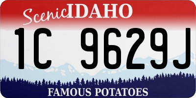 ID license plate 1C9629J