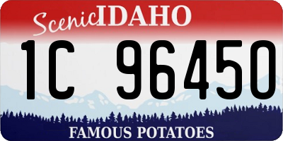 ID license plate 1C9645O