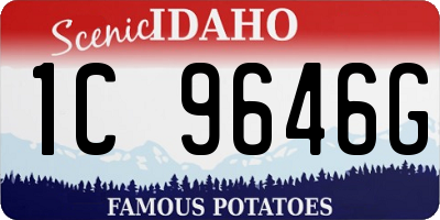 ID license plate 1C9646G