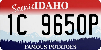 ID license plate 1C9650P