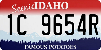 ID license plate 1C9654R