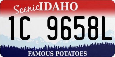 ID license plate 1C9658L