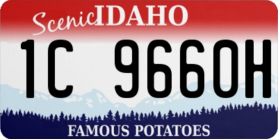 ID license plate 1C9660H