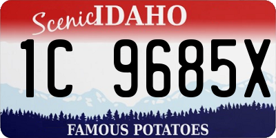 ID license plate 1C9685X