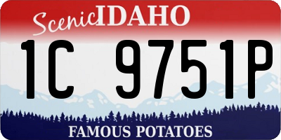 ID license plate 1C9751P