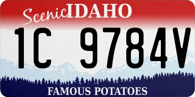 ID license plate 1C9784V