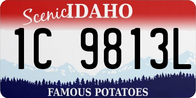 ID license plate 1C9813L