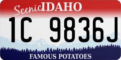 ID license plate 1C9836J