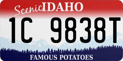 ID license plate 1C9838T
