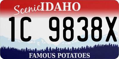 ID license plate 1C9838X
