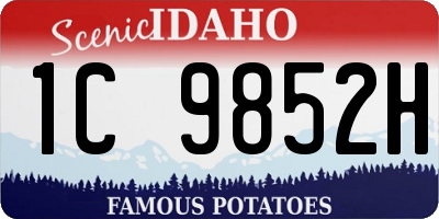 ID license plate 1C9852H