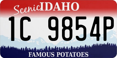 ID license plate 1C9854P