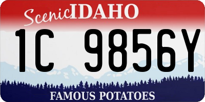 ID license plate 1C9856Y
