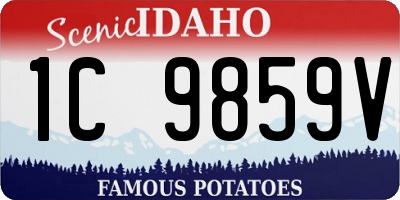 ID license plate 1C9859V