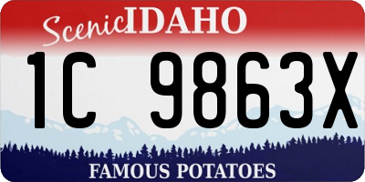ID license plate 1C9863X