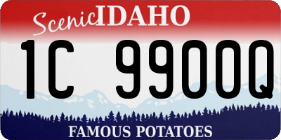ID license plate 1C9900Q