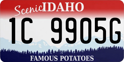 ID license plate 1C9905G