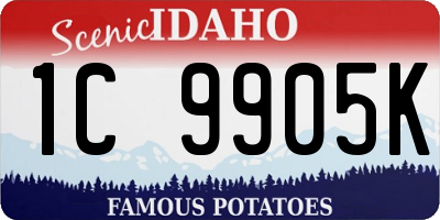 ID license plate 1C9905K