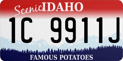 ID license plate 1C9911J
