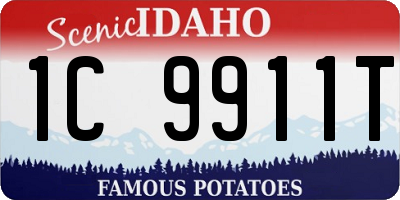 ID license plate 1C9911T
