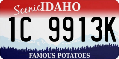 ID license plate 1C9913K