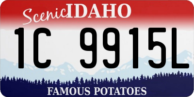 ID license plate 1C9915L