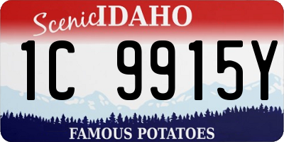 ID license plate 1C9915Y