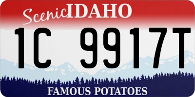 ID license plate 1C9917T