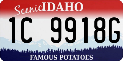 ID license plate 1C9918G