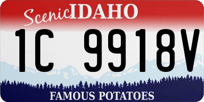 ID license plate 1C9918V