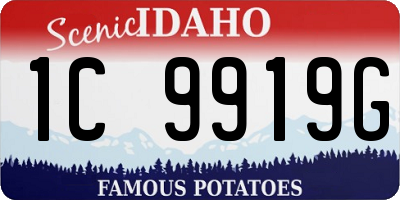 ID license plate 1C9919G