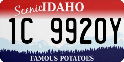 ID license plate 1C9920Y