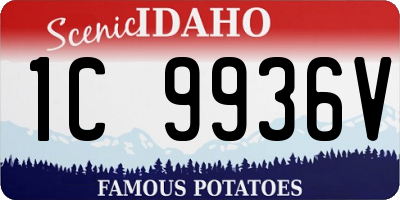 ID license plate 1C9936V