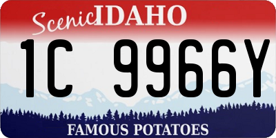 ID license plate 1C9966Y